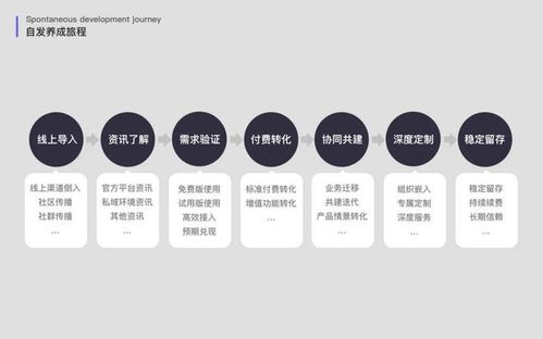 淺談企業(yè)級SaaS產品的客戶成長旅程管理（上） 個人互聯(lián)網(wǎng)服務分析篇